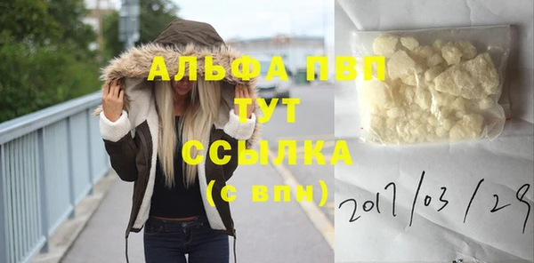 стафф Арсеньев