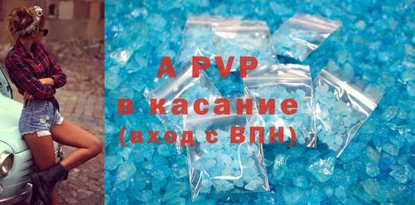 шишки Аркадак
