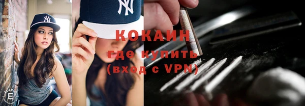 стафф Арсеньев