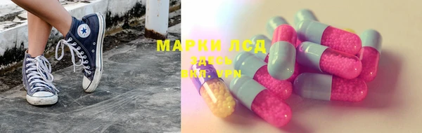 стафф Арсеньев