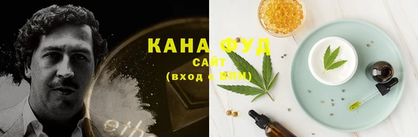 шишки Аркадак