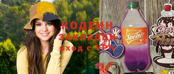 шишки Аркадак