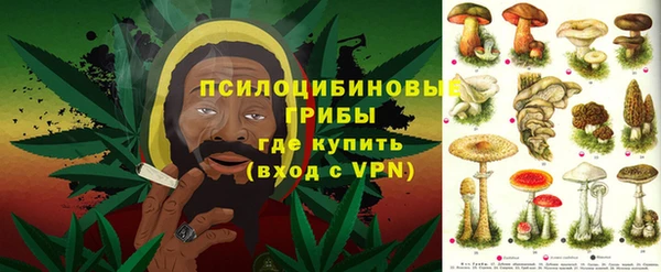 стафф Арсеньев