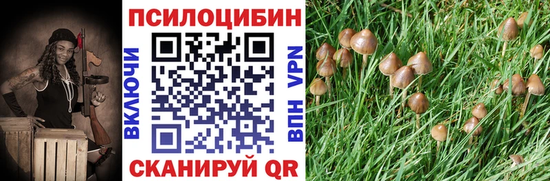 Псилоцибиновые грибы Psilocybe  Руза 
